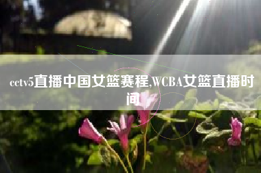 cctv5直播中国女篮赛程,WCBA女篮直播时间